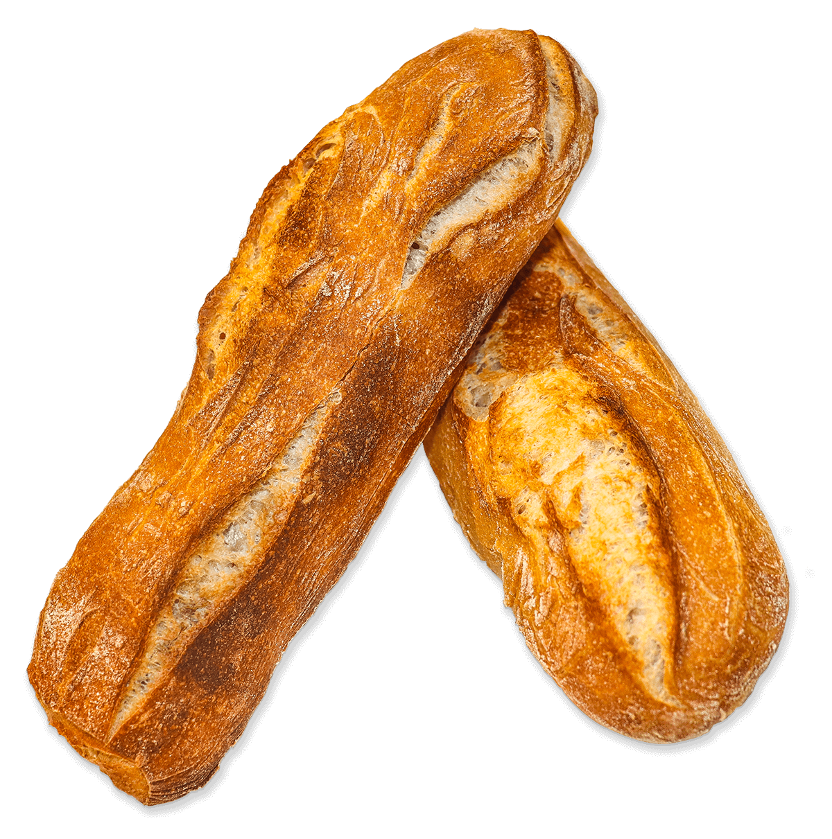 baguette-40cm_web-light